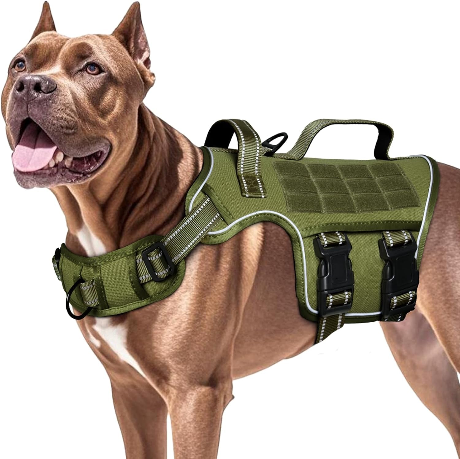 Green tactical dog harness with chest padding, side buckles, and front control strap