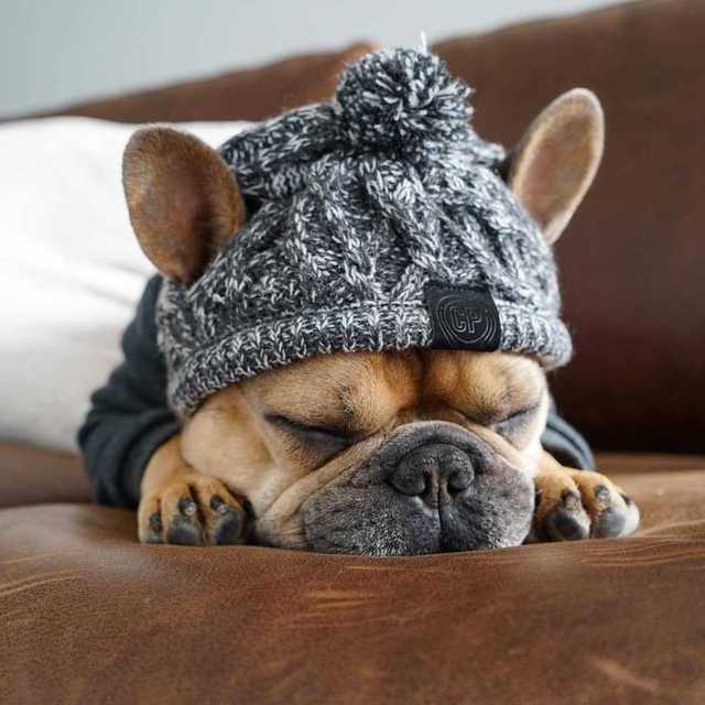 Cozy Knitted Pet Hat with Fluffy Pom-Pom — Winter Warm Beanie for Dogs & Cats