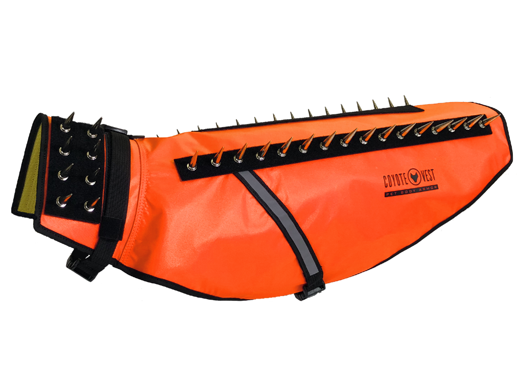 Fluorescent orange spiked dog harness vest, black collar strap, metal D-rings, buckles