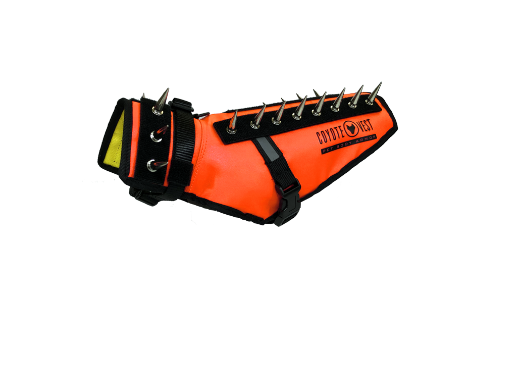 Fluorescent orange dog harness vest with spiked top strap, metal D-rings, side buckle