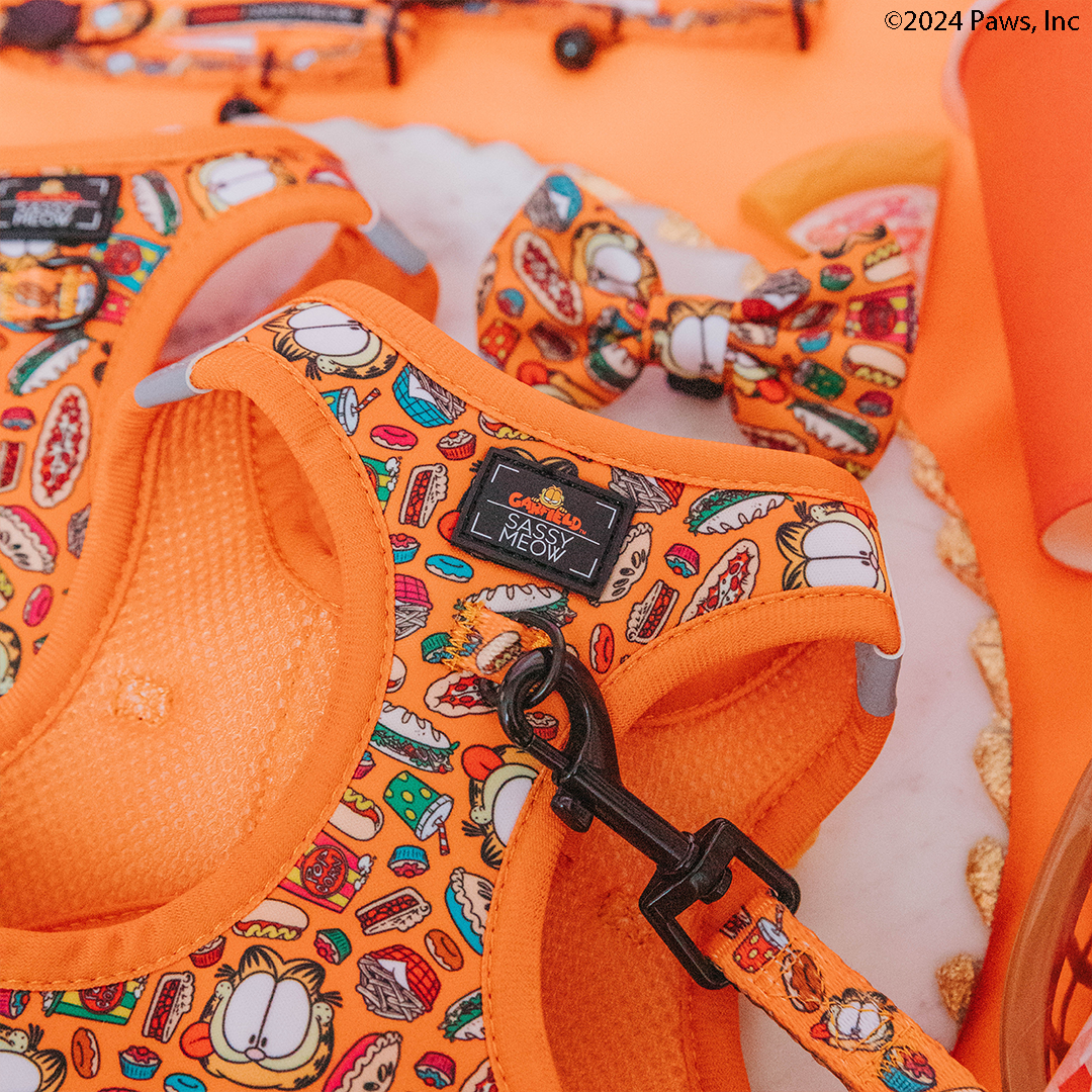 Orange Garfield™️ cat step-in harness close-up with Sassy Meow patch and black buckle