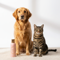 THE MANE TAME dog dry shampoo bottle with golden retriever and tabby cat