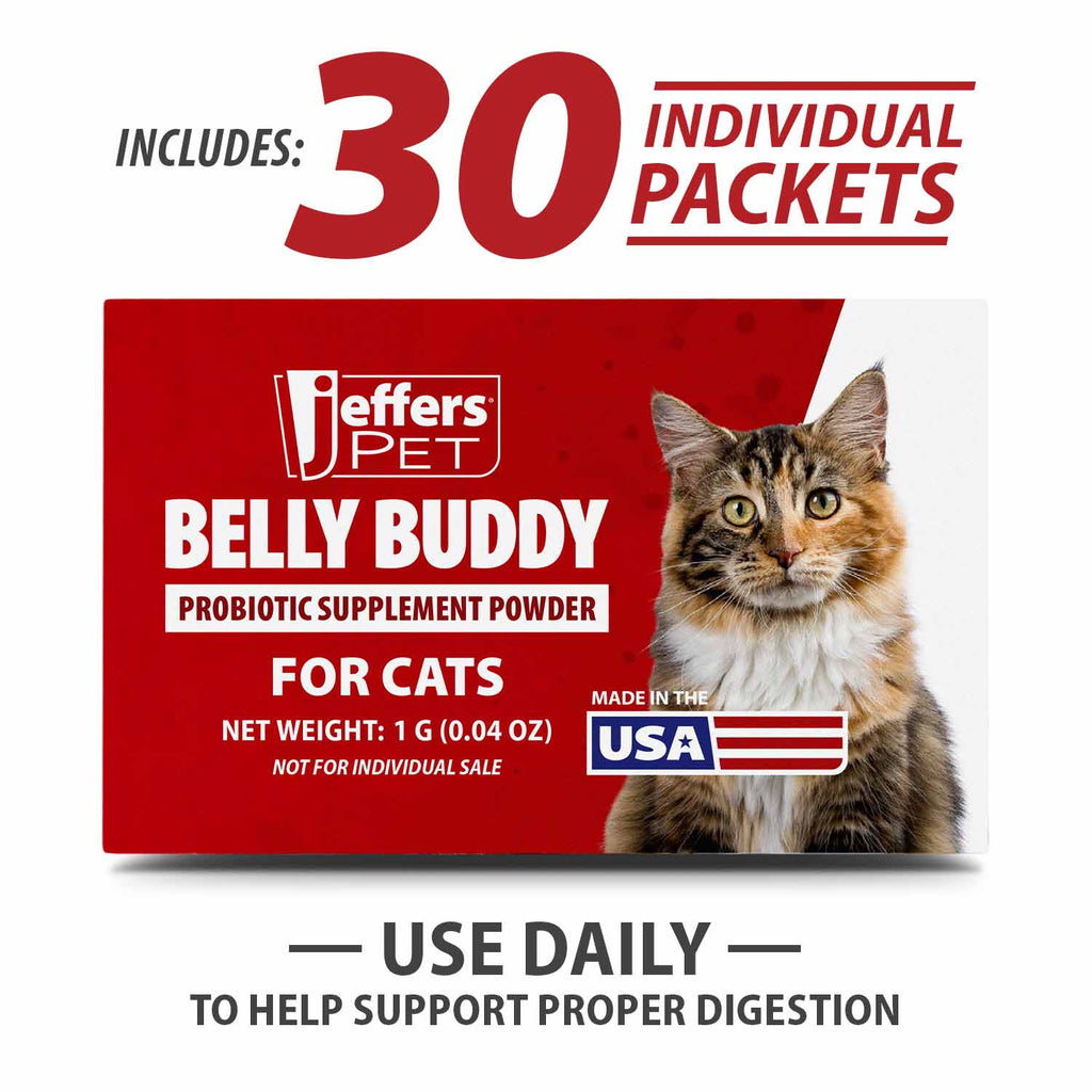 Cat probiotic supplement powder box, includes 30 individual packets, Belly Buddy for cats