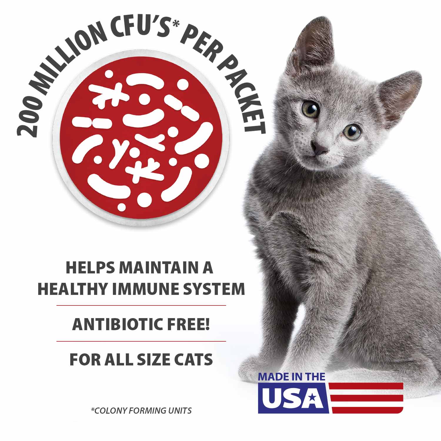 Cat probiotic supplement for all size cats, kitten with immune icon, Belly Buddy