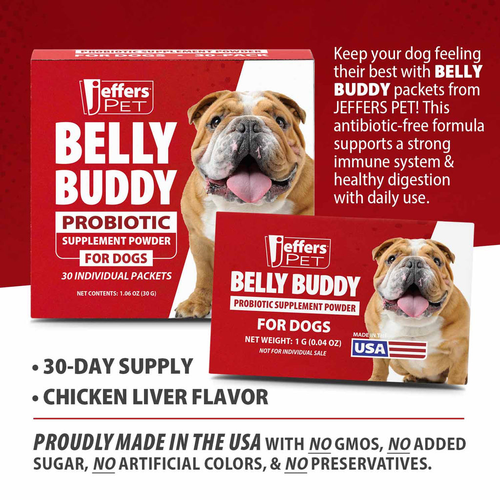 Dog probiotic supplement powder box set, Jeffers Pet BELLY BUDDY, chicken liver flavor