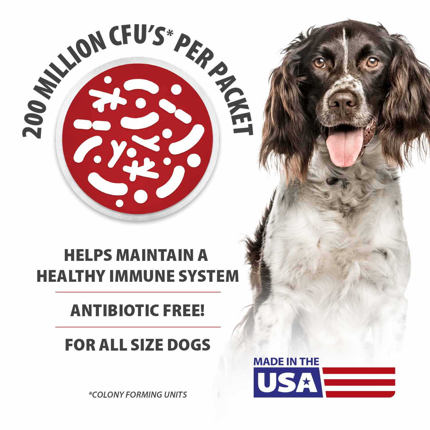 Dog probiotic supplement packaging with Jeffers Pet logo and dog portrait