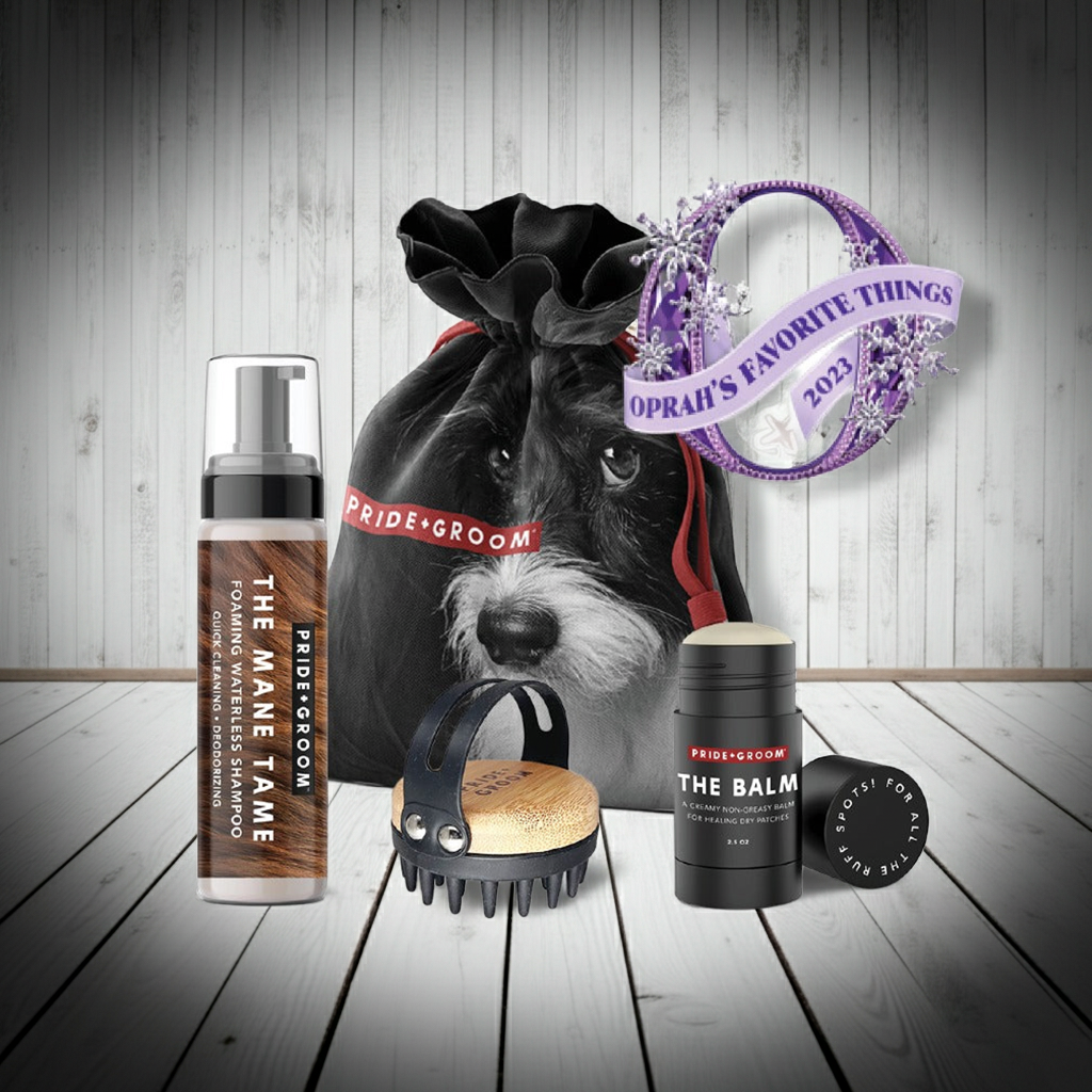 THE TOOL KIT