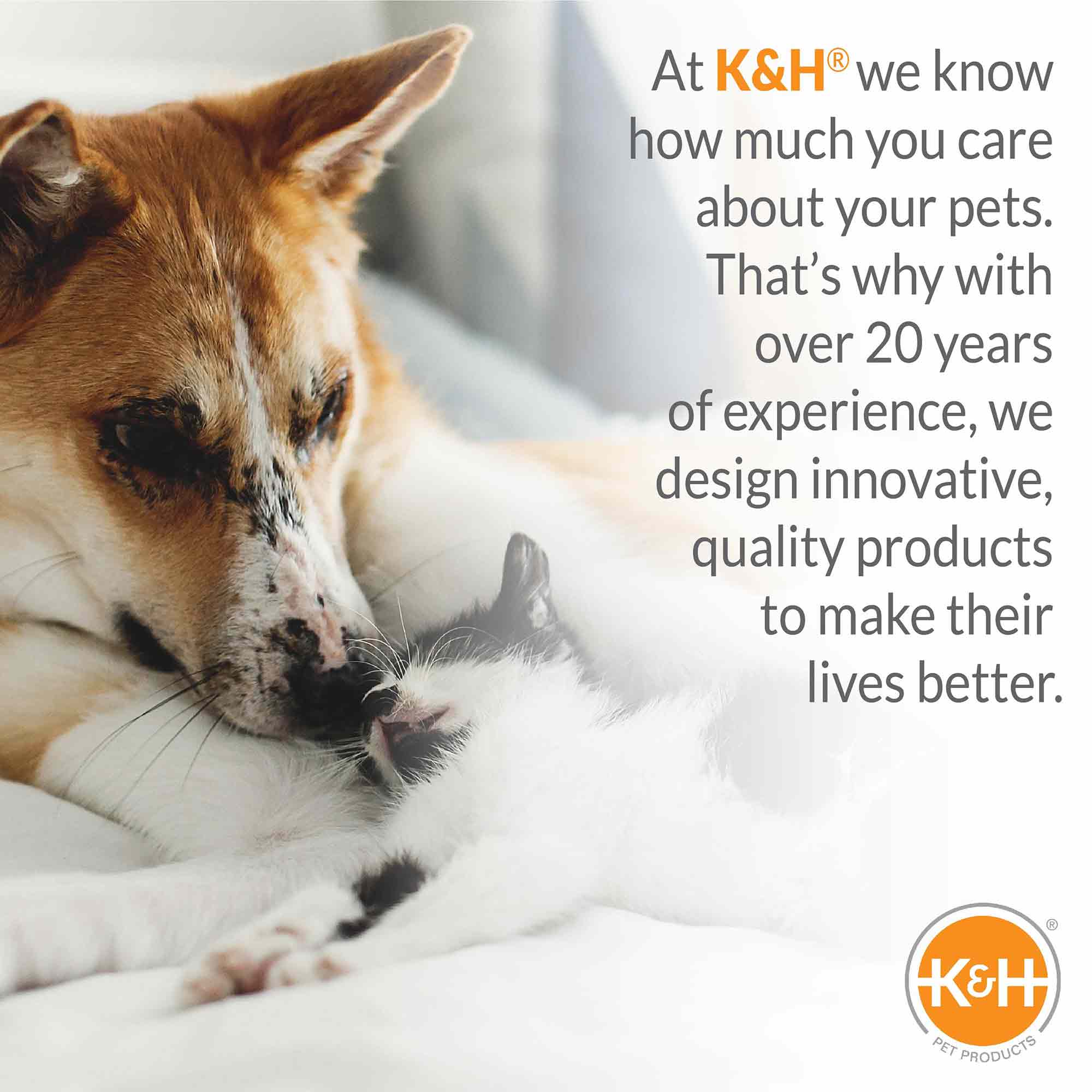 K&H pet cot cover close-up with a resting brown-and-white dog on soft fabric