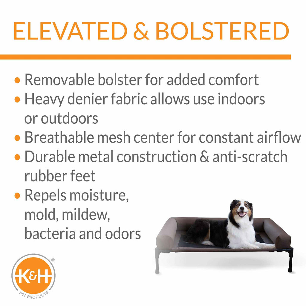 K&H elevated pet cot with removable bolsters, dark mesh center in chocolate and black