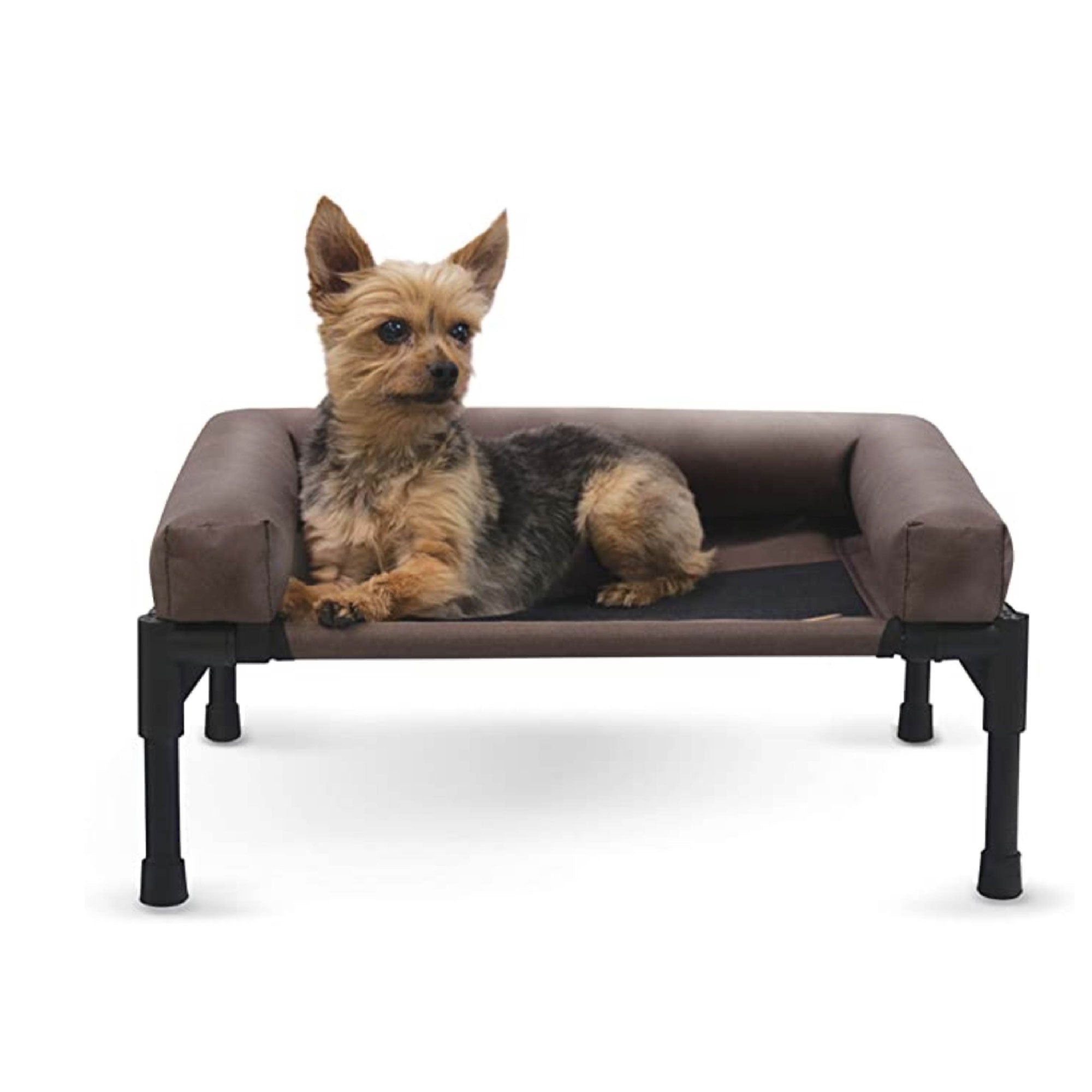 Bolstered elevated pet cot, chocolate bolster and base, black metal frame and legs