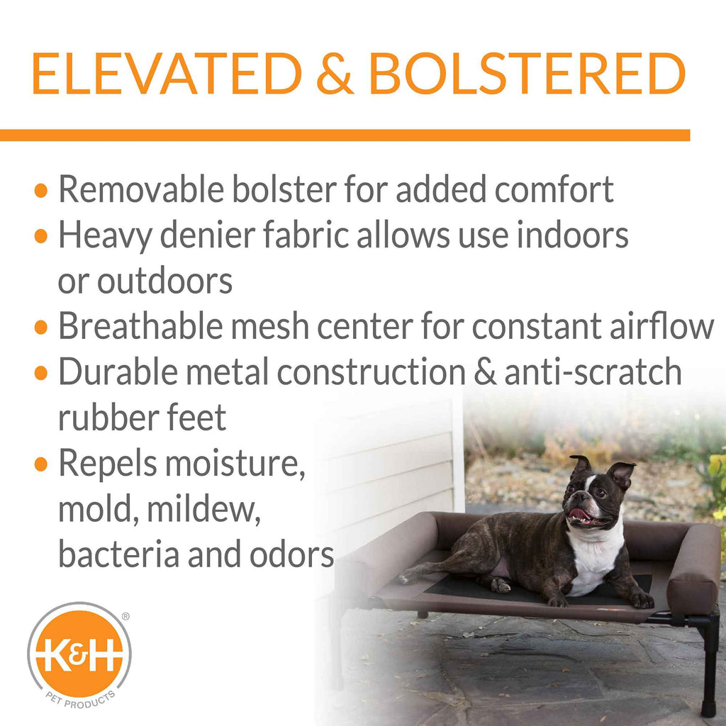 Elevated pet cot with bolster, chocolate-and-black fabric, black metal frame and legs