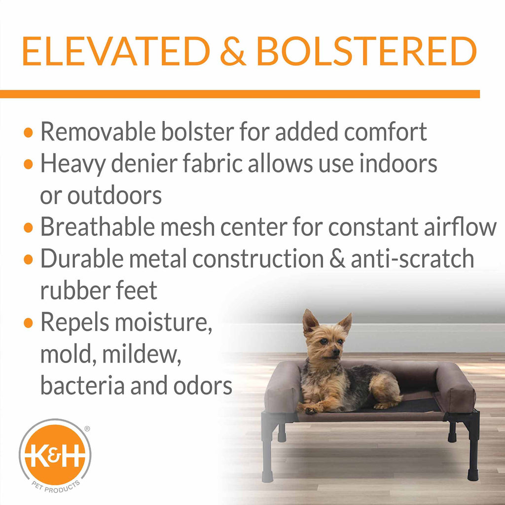 Bolstered elevated pet cot with dog, chocolate-and-black fabric bolster, black metal legs