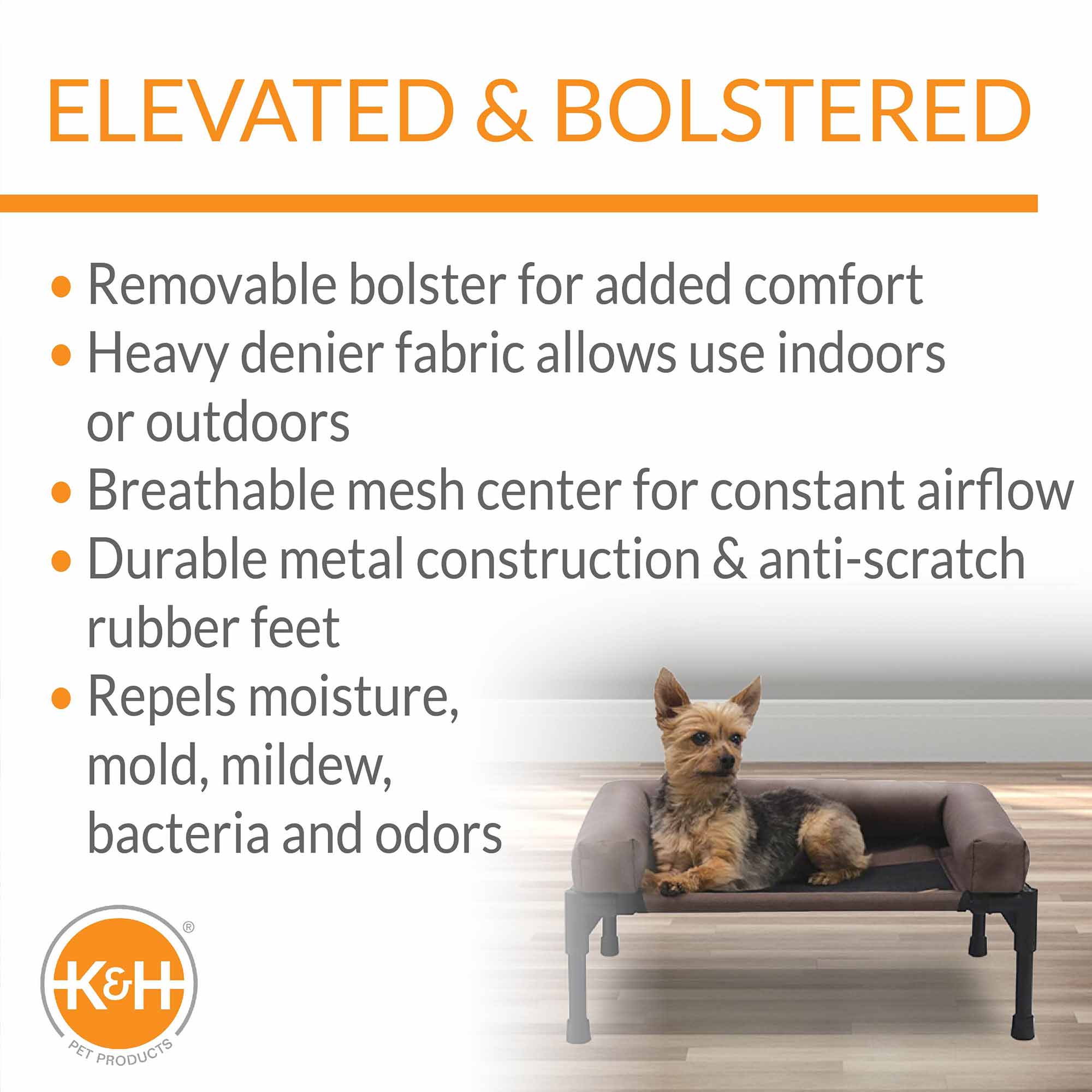 Bolstered elevated pet cot with dog, chocolate-and-black fabric bolster, black metal legs