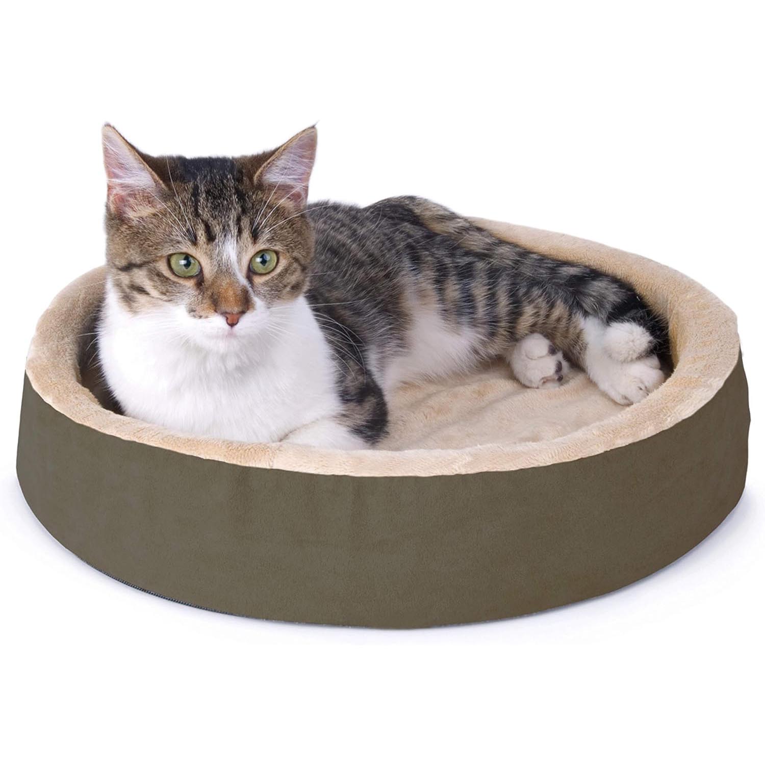 Brown round heated cat bed with low rim, plush lining, cat resting inside