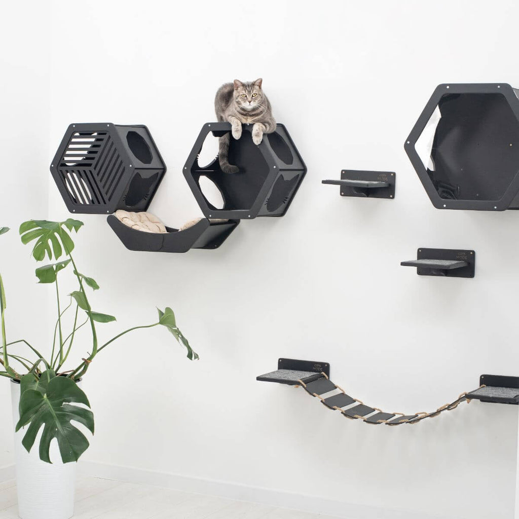 Black hexagonal wall cat bed frame with openings and beige cushion