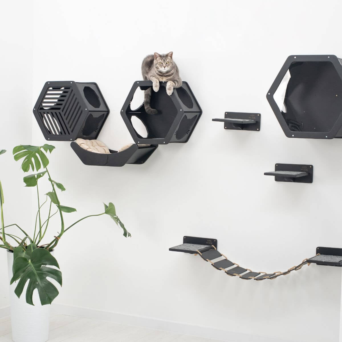 Black hexagonal wall cat bed frame with openings and beige cushion