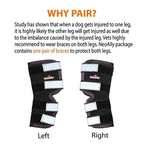Dog rear leg brace pair, two black supports with white reflective strap panels