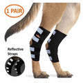 Dog rear leg hock brace, black with reflective light-blue strap panels on hind legs