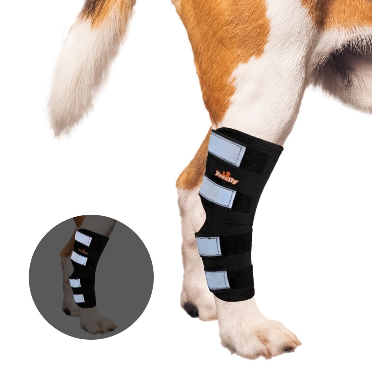 Dog rear leg hock brace, black with gray reflective straps and velcro fastening