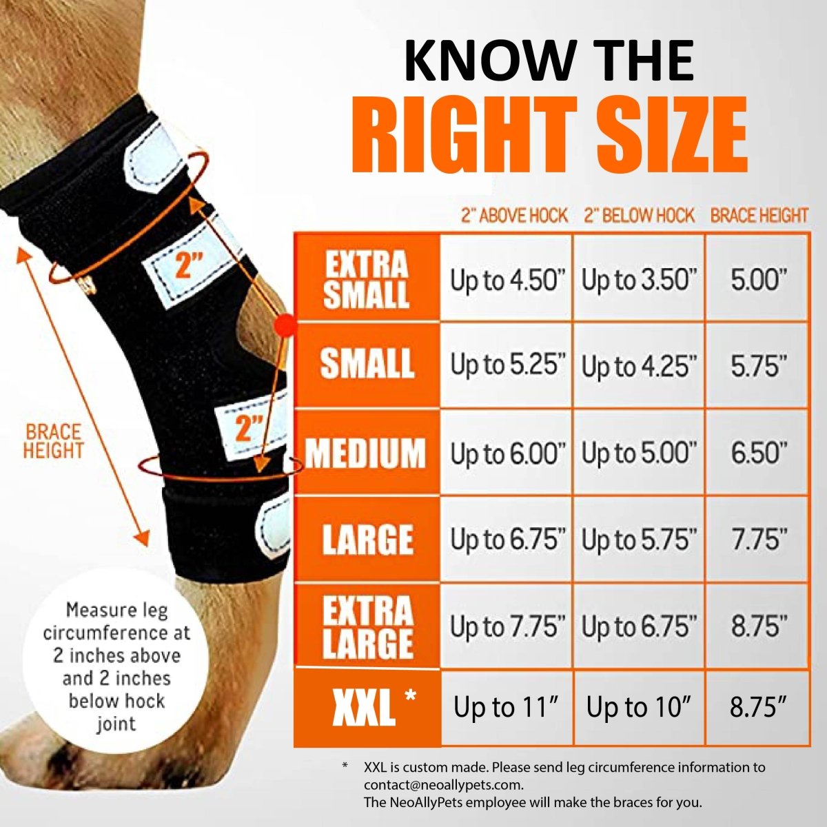 Dog rear leg hock brace, black with velcro closures and reflective strap panels