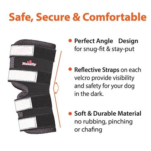 Dog rear leg hock brace, black with white reflective strap panels and soft fabric padding