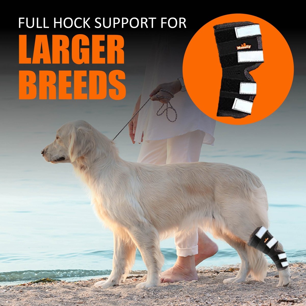NeoAlly rear leg hock brace with reflective straps, black brace on dog hind leg