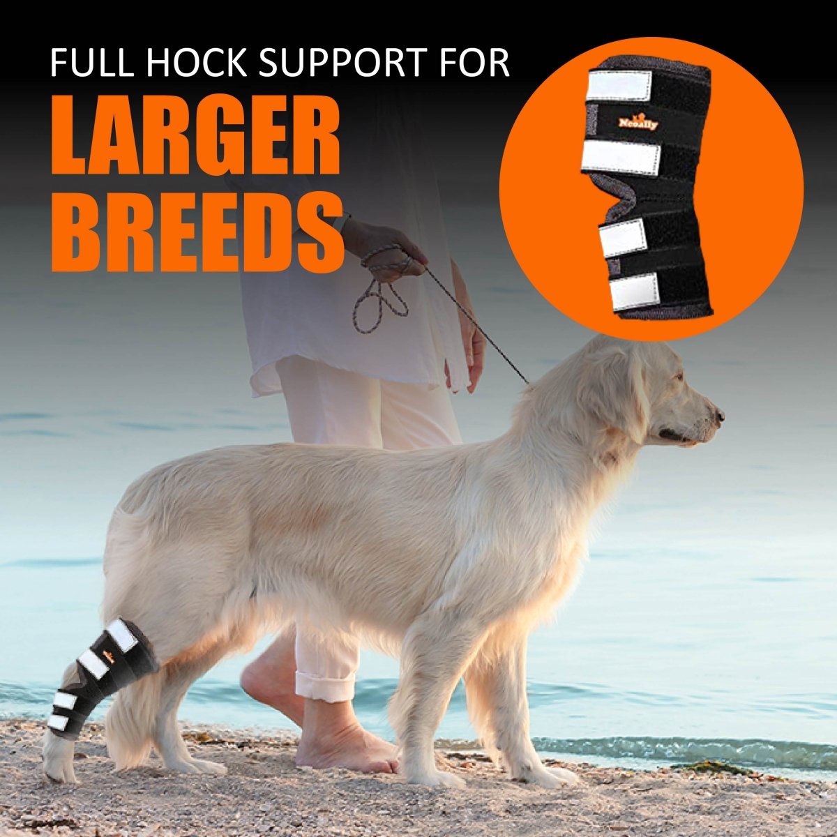 NeoAlly rear leg hock brace with reflective straps, black and gray on dog leg