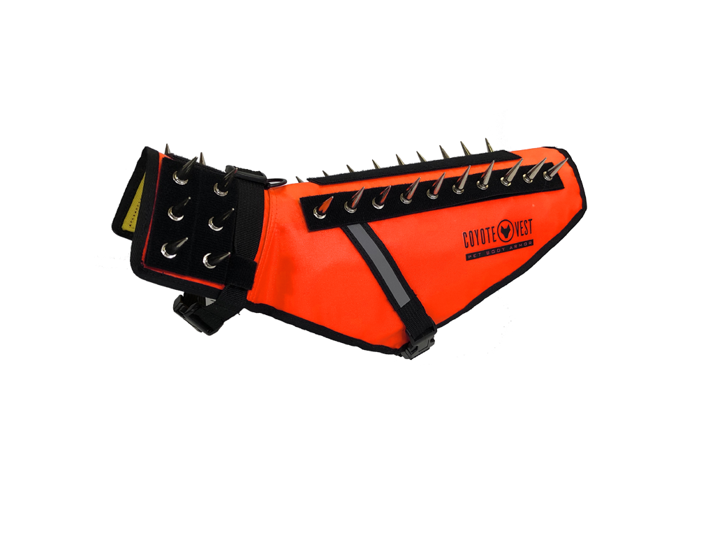 Orange spiked dog safety vest with black strap closure and metal prongs