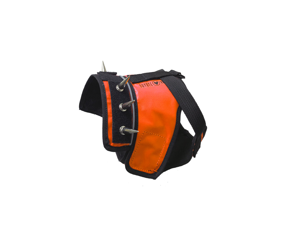 Dog harness with black base and fluorescent orange padded front panel, metal ring snaps