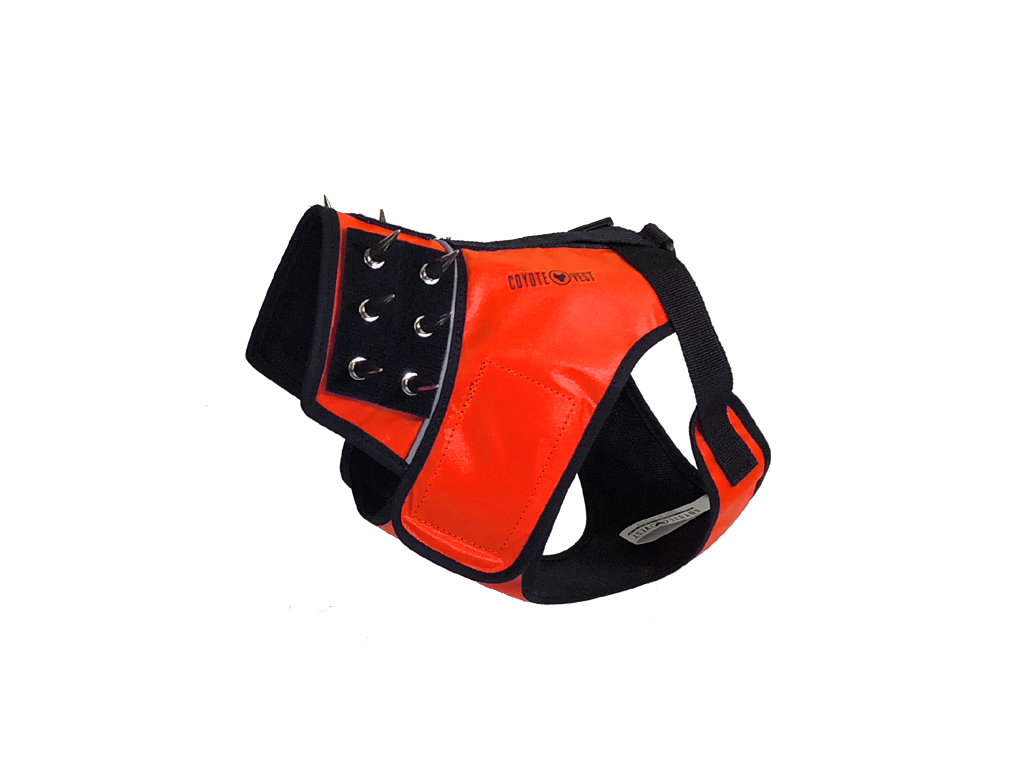 Dog harness in fluorescent orange and black with metal grommets and spike-style stud panel