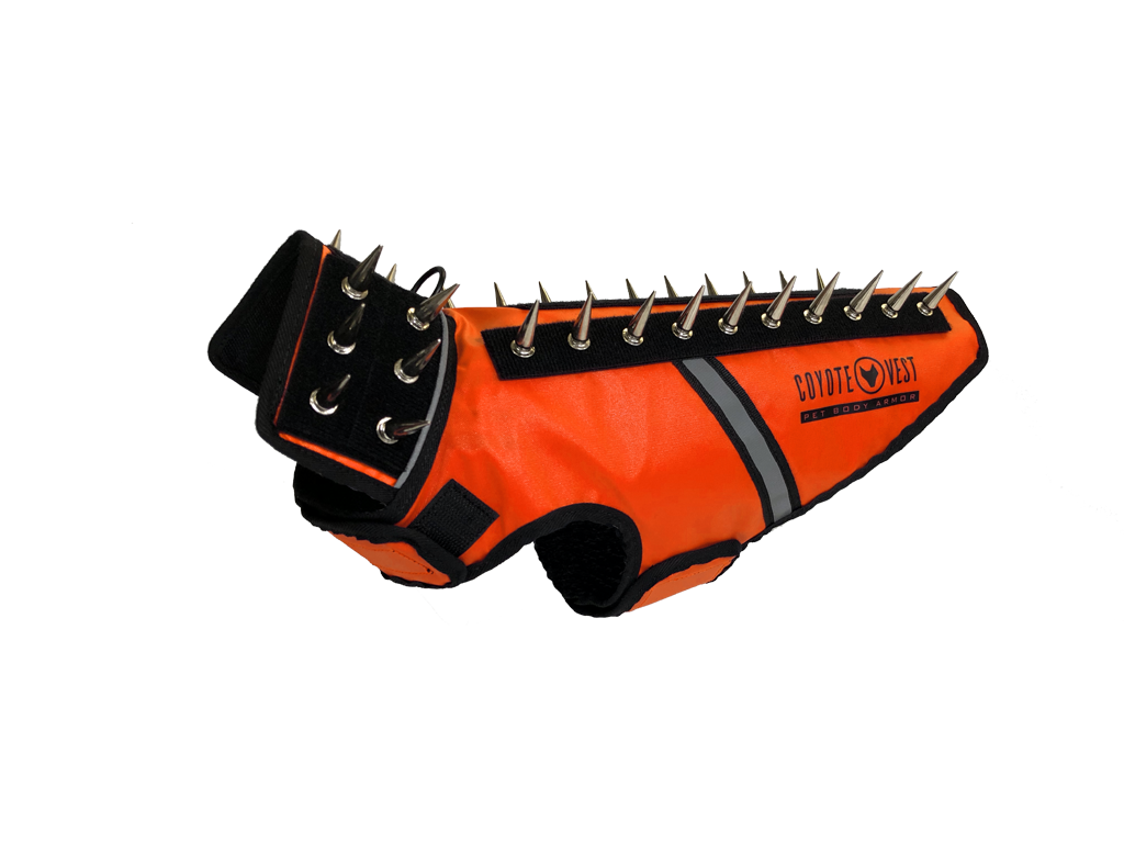 SpikeVest dog vest in fluorescent orange with black spike collar and metal studs, black trim