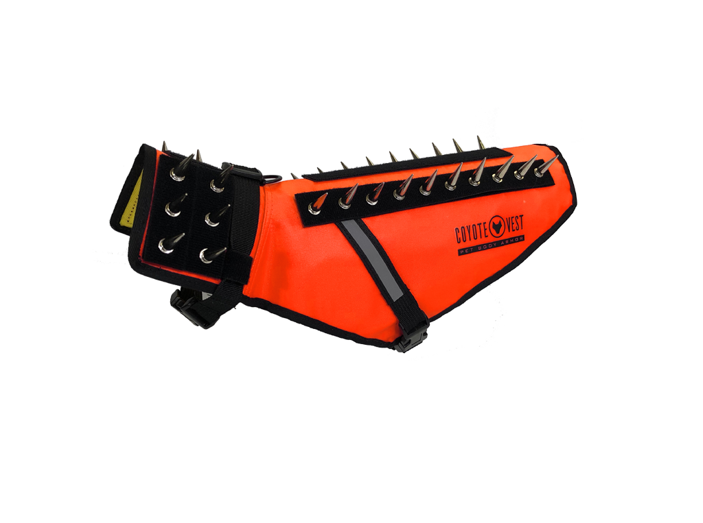 Orange spiked dog safety vest with black strap closure and metal prongs
