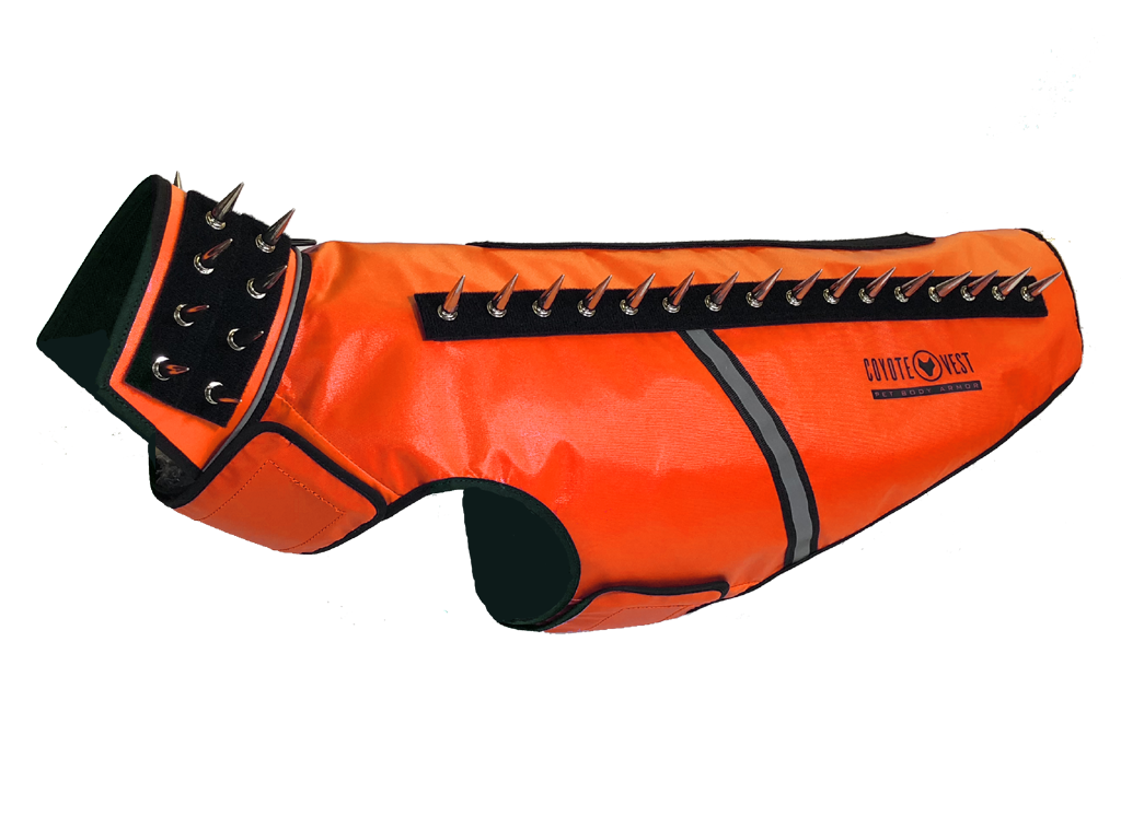 SpikeVest padded dog vest, fluorescent orange with black spikes and ringed collar