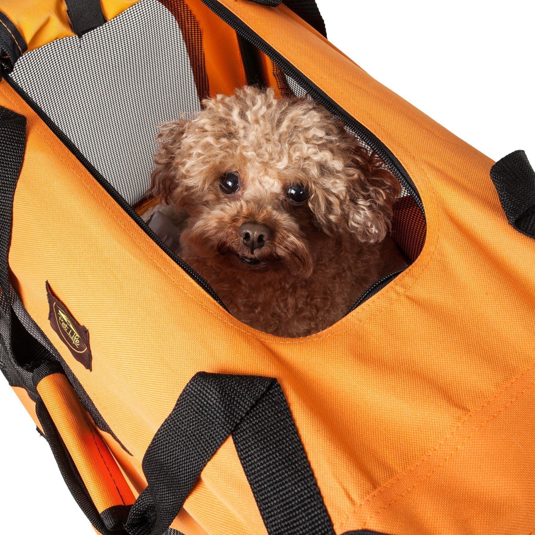 Orange pet crate carrier with mesh side opening showing a small dog face