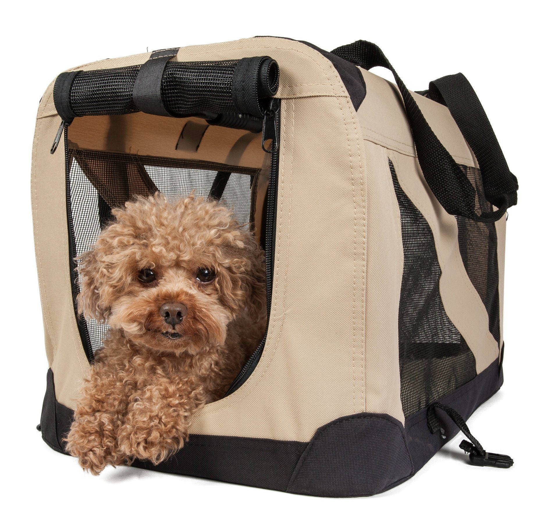 Khaki folding pet crate with zippered mesh window, carry straps, dog inside