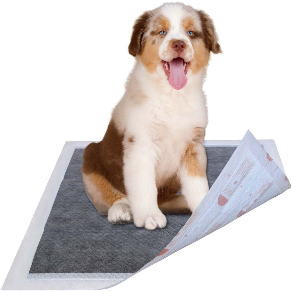 Dark gray dog training pad with white edges, under a sitting puppy