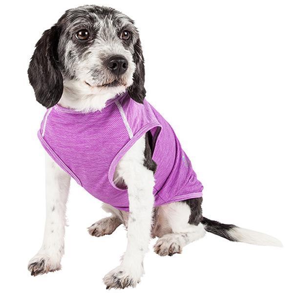 Dog yoga fitness T-shirt, purple with white trim and front paw-hole opening