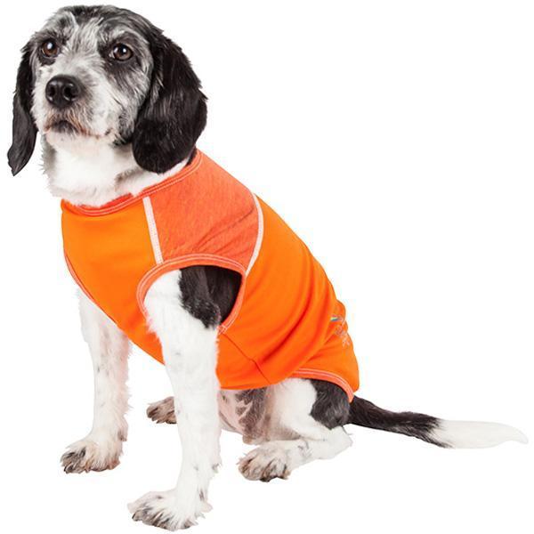 Dog yoga fitness T-shirt, orange with white trim and front paw-hole opening