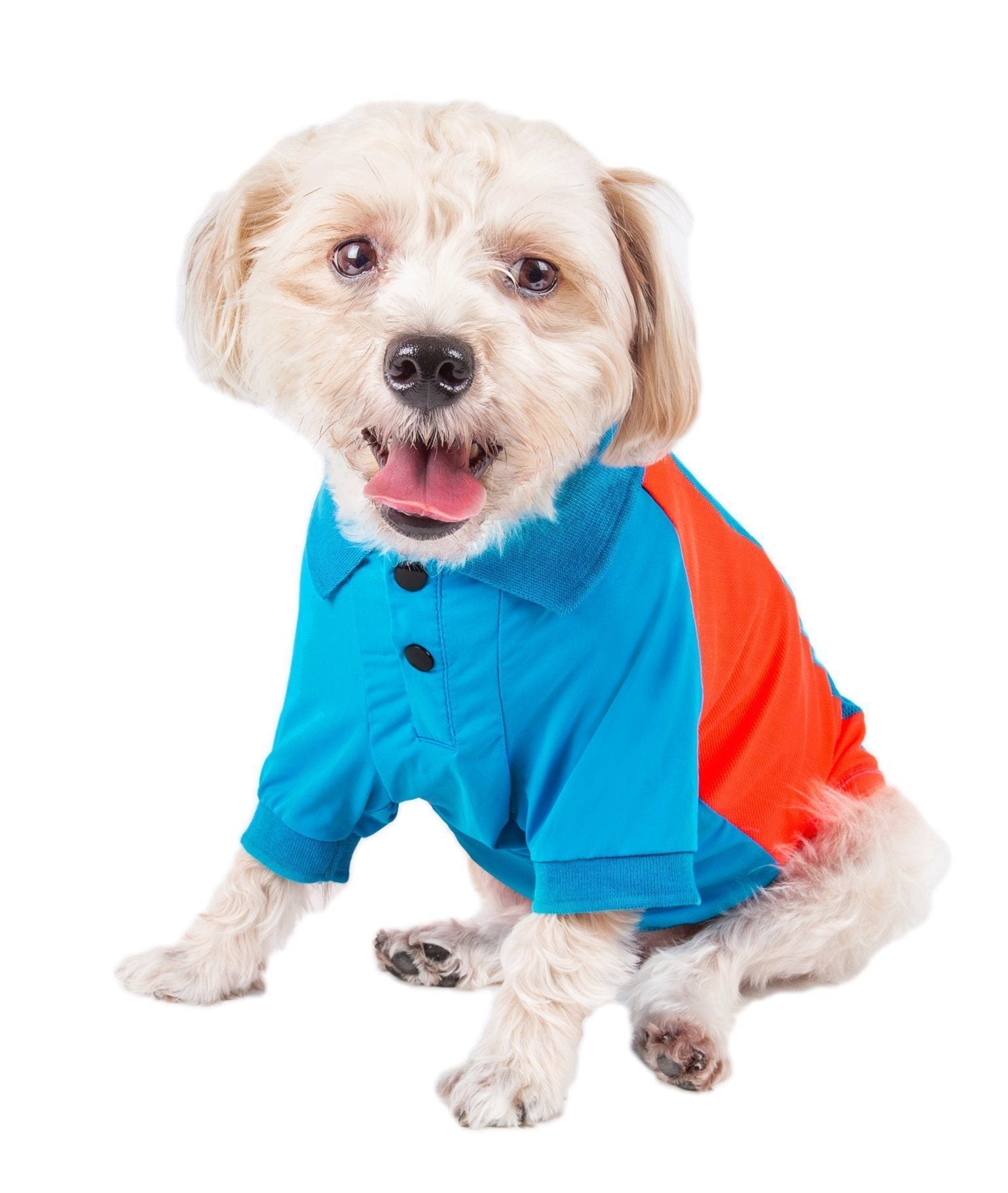 Blue and orange dog polo shirt with snap-button placket and mesh side panels