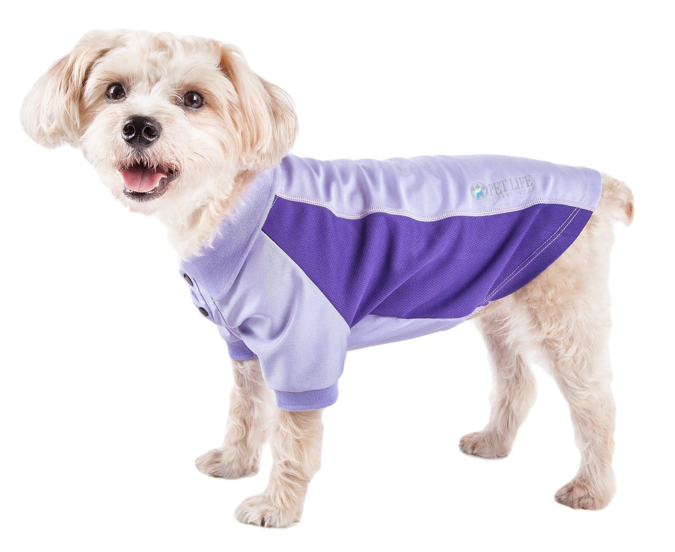 Light purple dog polo with purple side paneling and small logo on chest
