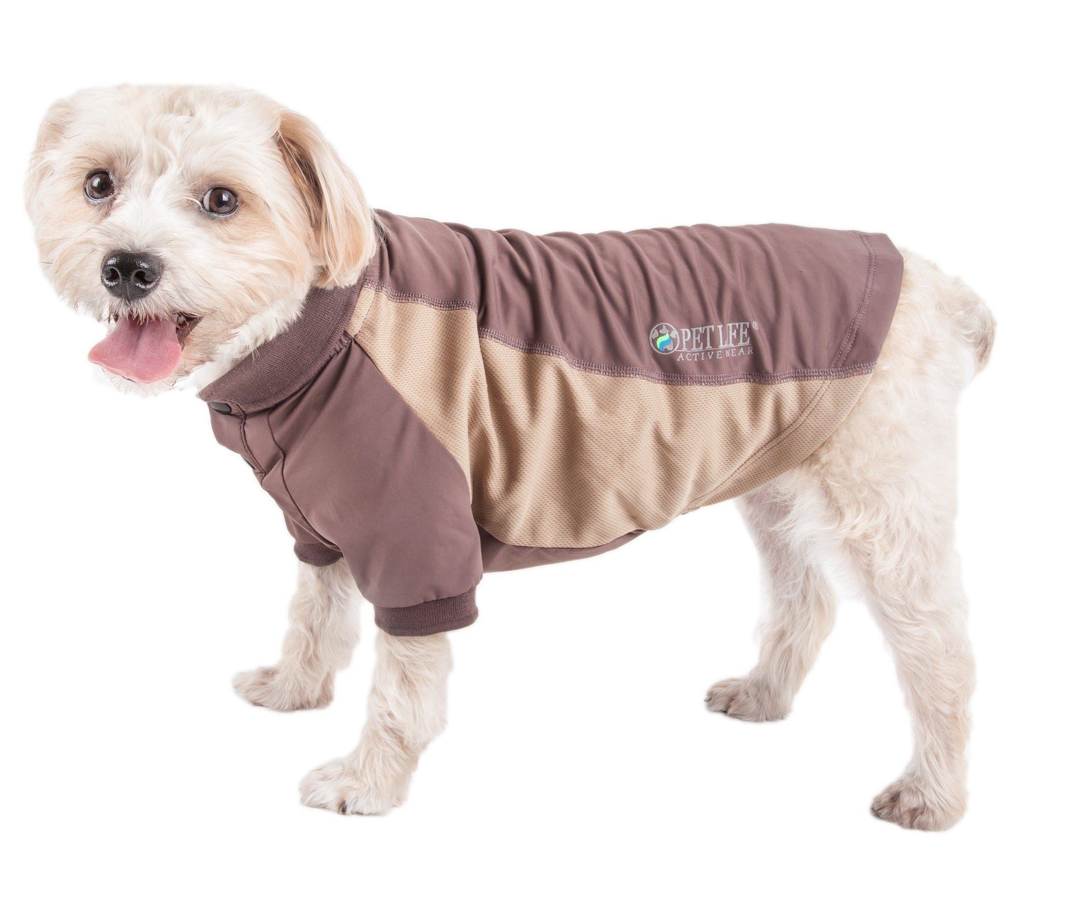 Brown dog polo with tan diagonal panel and logo patch on upper chest