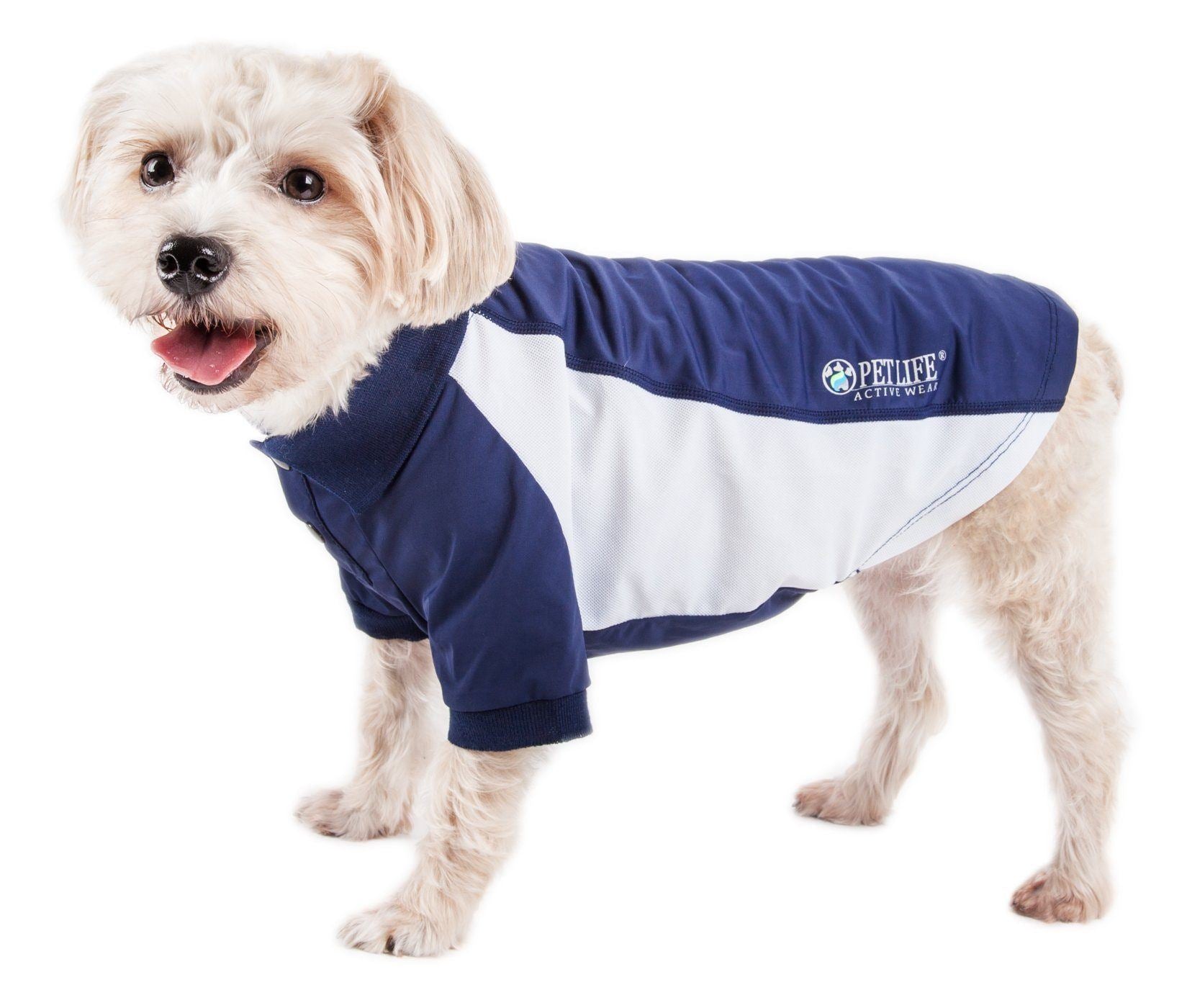 Navy and white dog polo with contrast sleeves and logo patch on chest