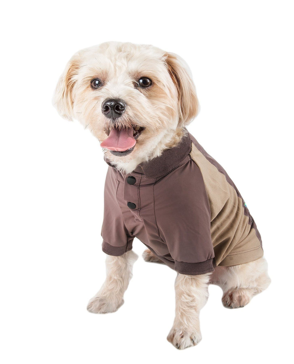 Brown and dark gray dog polo shirt with snap placket and short sleeves