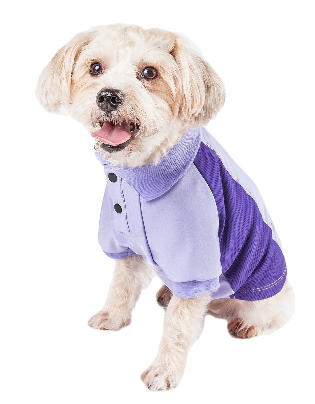 Light blue and purple dog polo shirt with snap-button placket and short sleeves