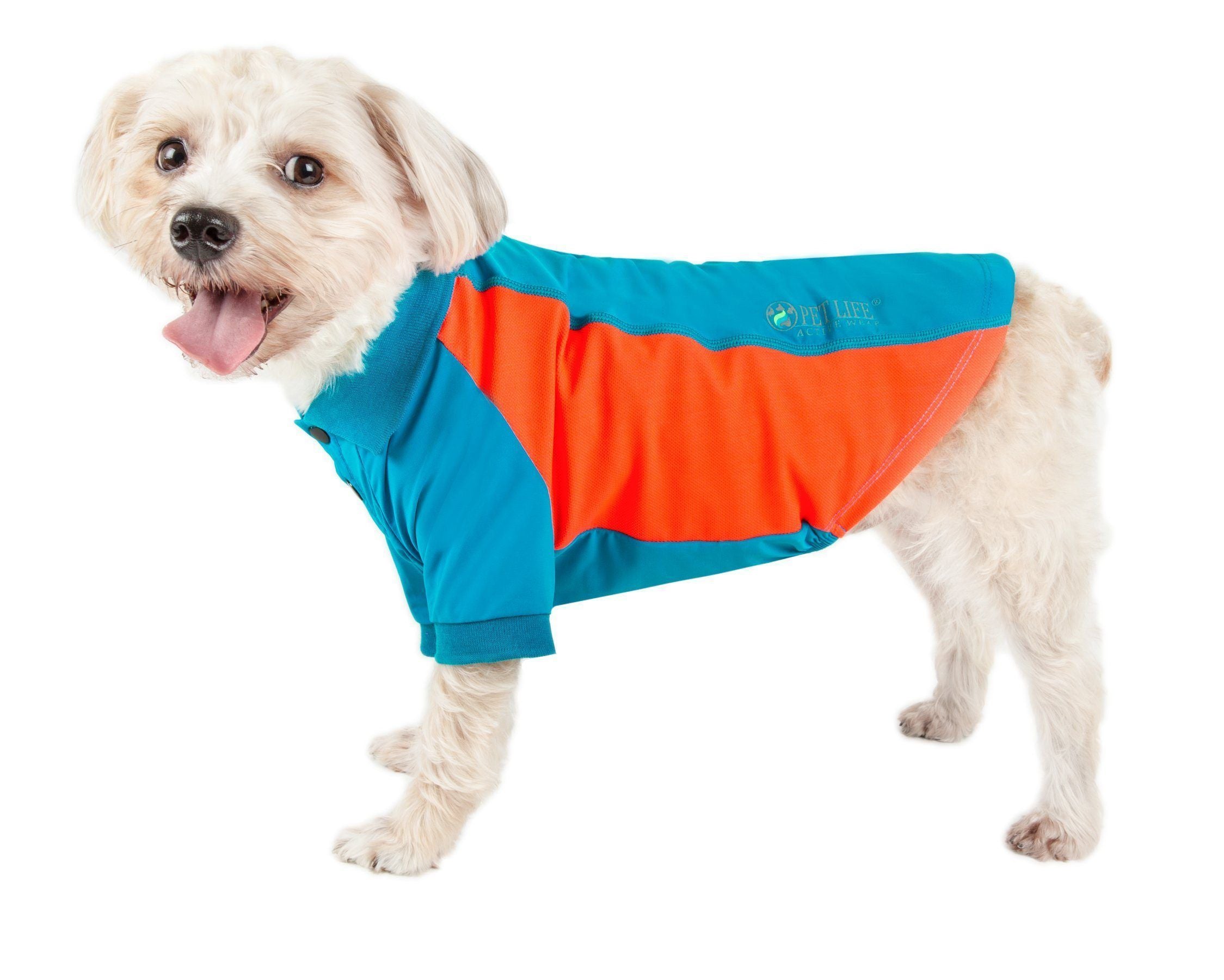 Teal dog polo shirt with orange front panel and dark trim