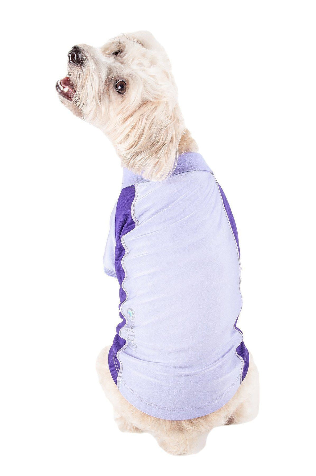 Light blue and purple dog polo shirt with snap placket and short sleeves