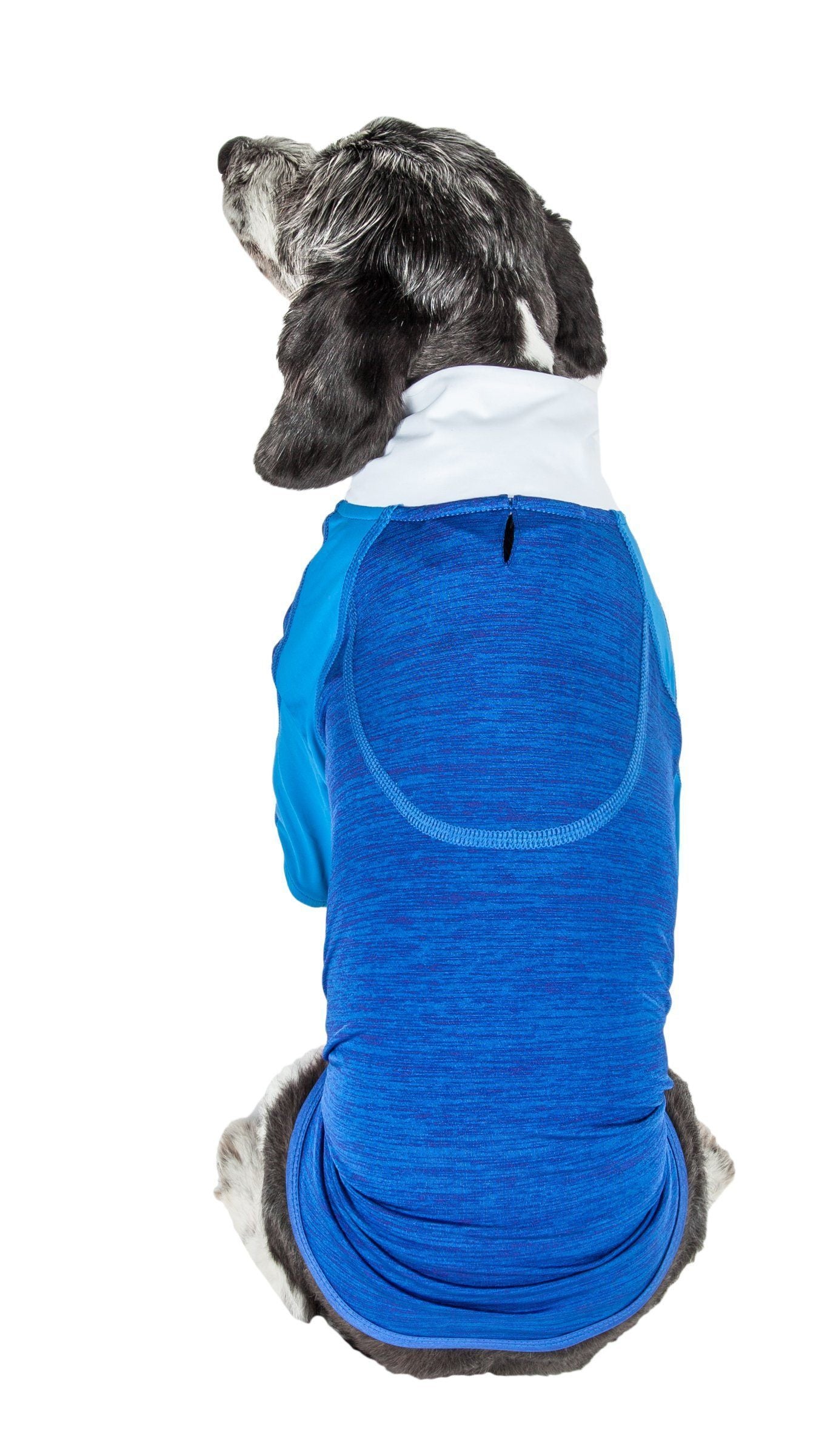 Blue heather long-sleeve dog shirt, back view with white neck and stitched pocket seam