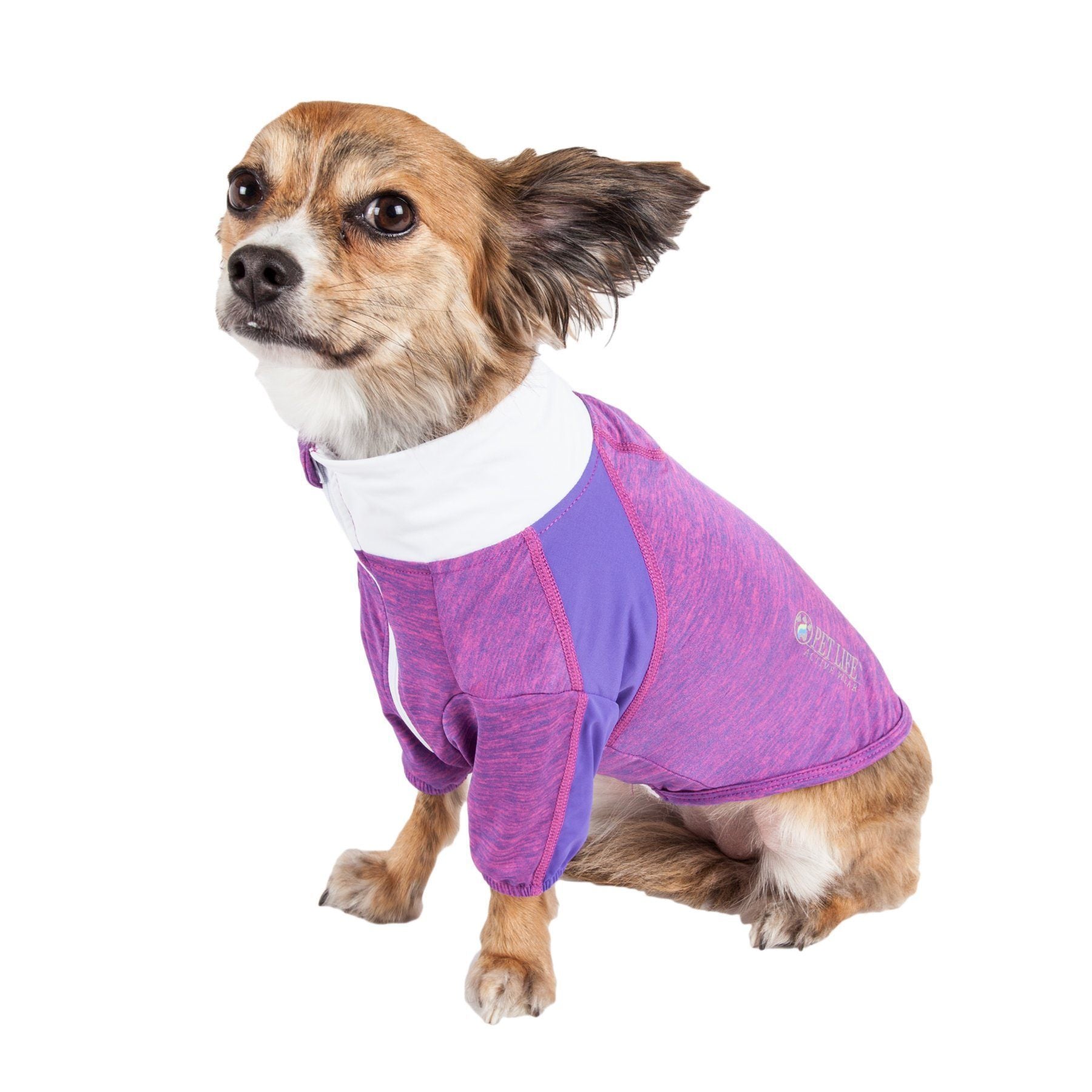 Purple heather dog long-sleeve yoga T-shirt with full zipper, worn on a dog
