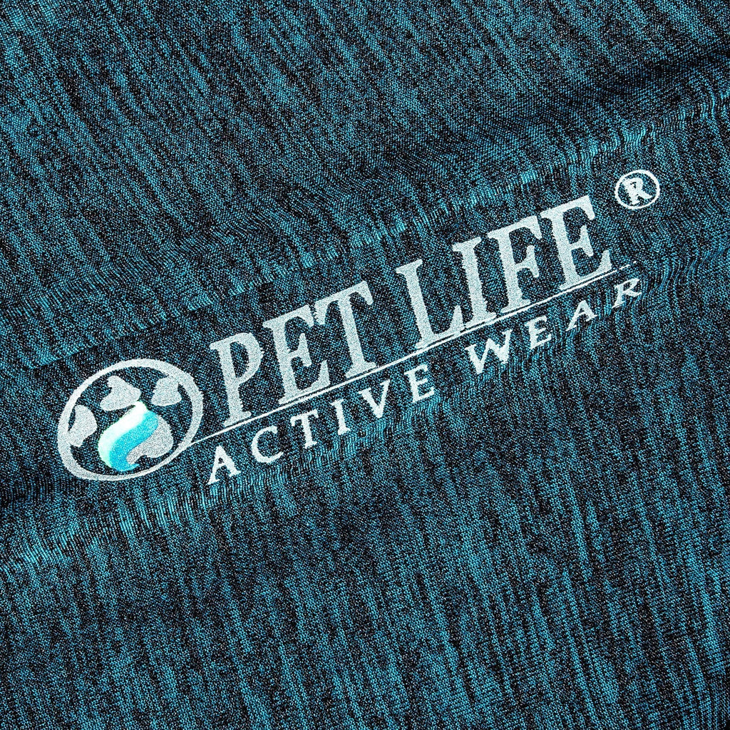Teal heather dog long-sleeve fitness T-shirt with “Active Wear” logo print