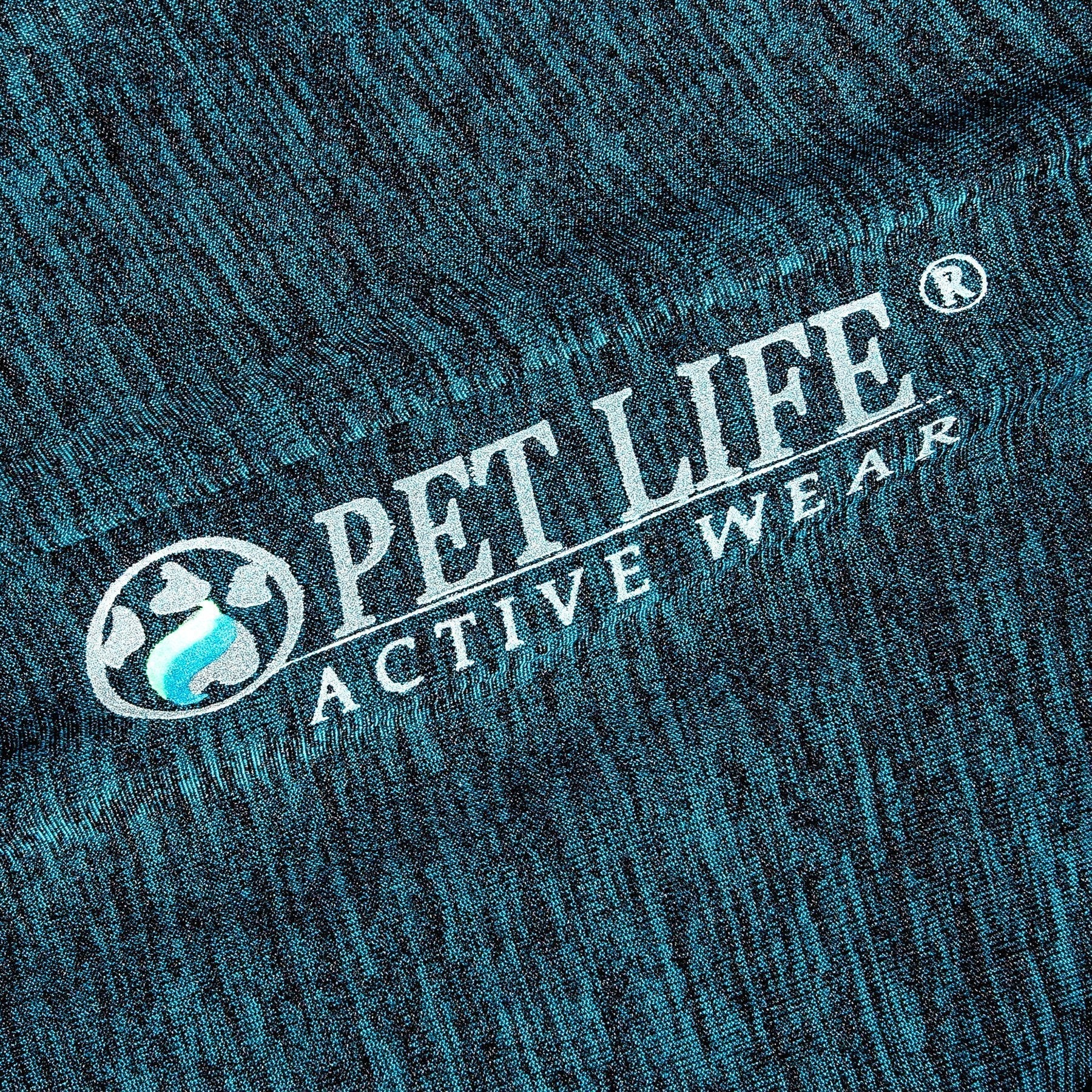 Teal heather dog long-sleeve fitness T-shirt with “Active Wear” logo print